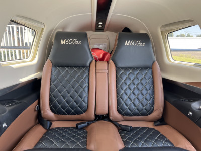 2020 Piper M600SLS: 