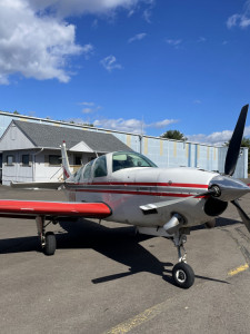 1981 Beechcraft Bonanza A36: 