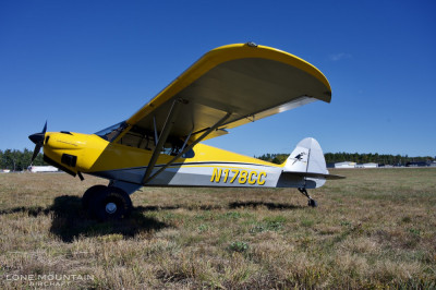 2010 Cubcrafters Carbon CubSS: 