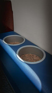 1979 Cessna Citation ISP: 