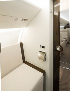 2019 Dassault Falcon 2000LXS: 